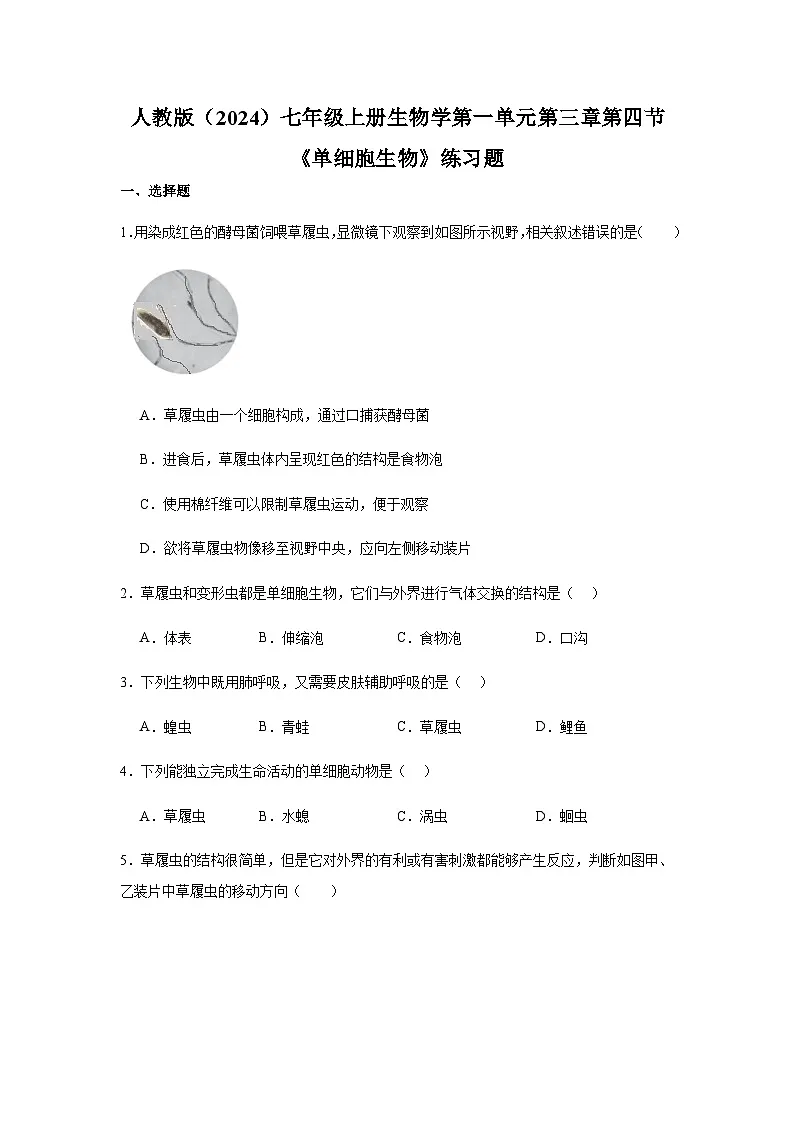 1.3.4单细胞生物 练习题（含答案）2025-2026学年人教版七年级上册生物学第1页