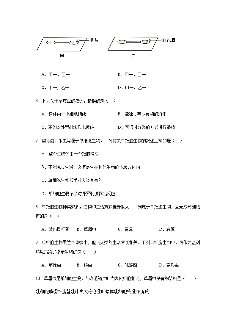 1.3.4单细胞生物 练习题（含答案）2025-2026学年人教版七年级上册生物学第2页