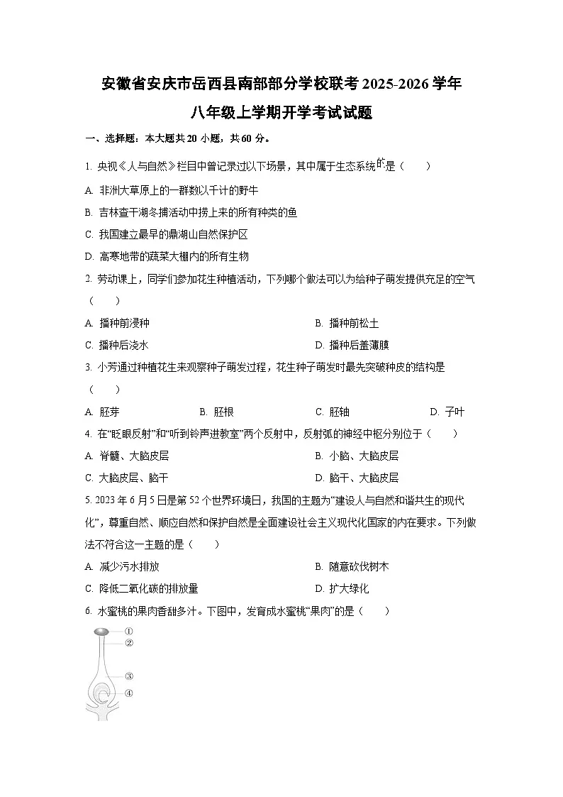 安徽省安庆市岳西县南部部分学校联考2025-2026学年八年级上学期开学考试生物试卷（学生版）第1页
