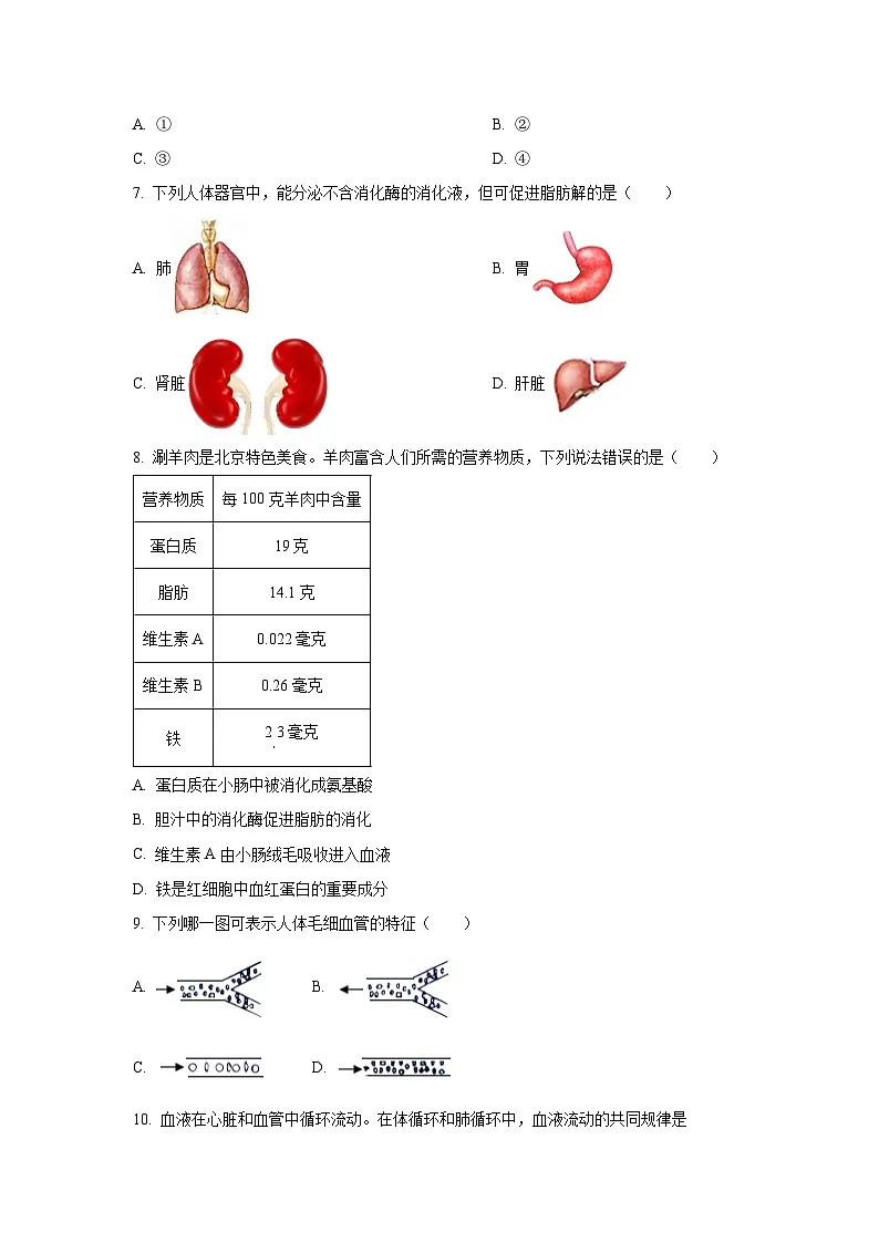 安徽省安庆市岳西县南部部分学校联考2025-2026学年八年级上学期开学考试生物试卷（学生版）第2页