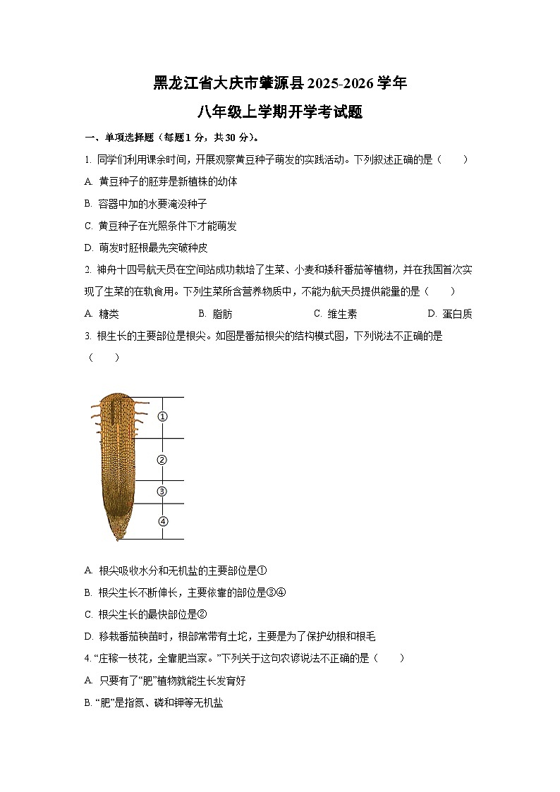 黑龙江省大庆市肇源县2025-2026学年八年级上学期开学考生物试卷（学生版）第1页