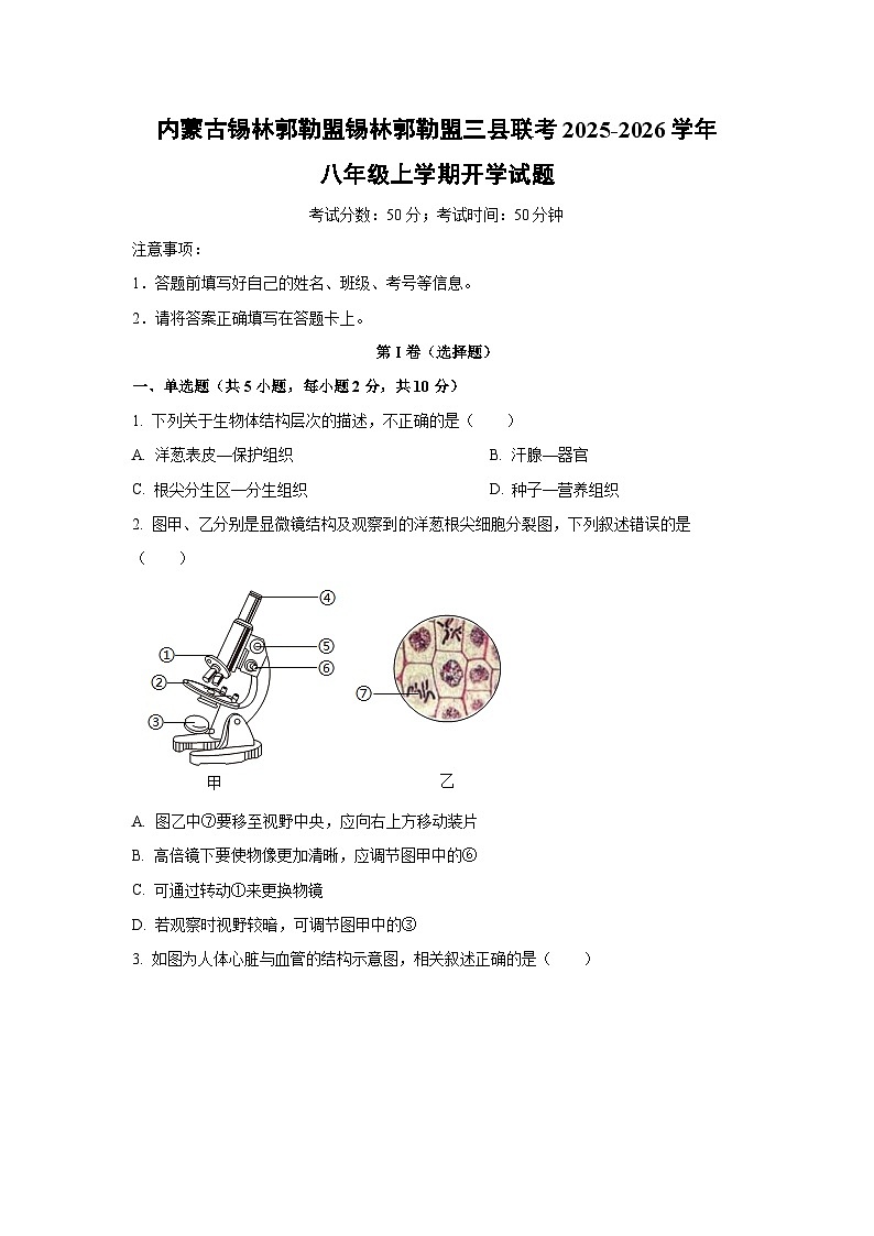 内蒙古锡林郭勒盟锡林郭勒盟三县联考2025-2026学年八年级上学期开学生物试卷（学生版）第1页