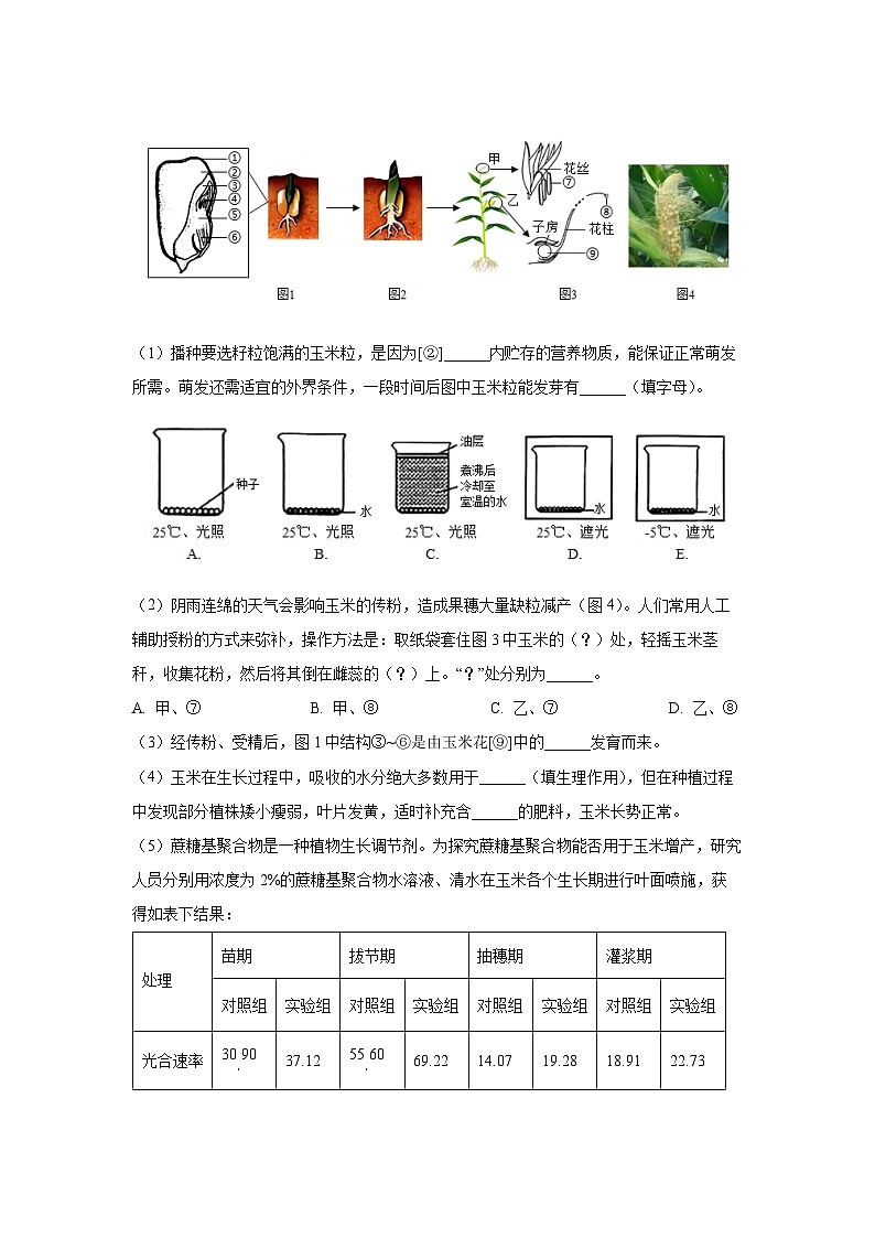 内蒙古锡林郭勒盟锡林郭勒盟三县联考2025-2026学年八年级上学期开学生物试卷（学生版）第3页