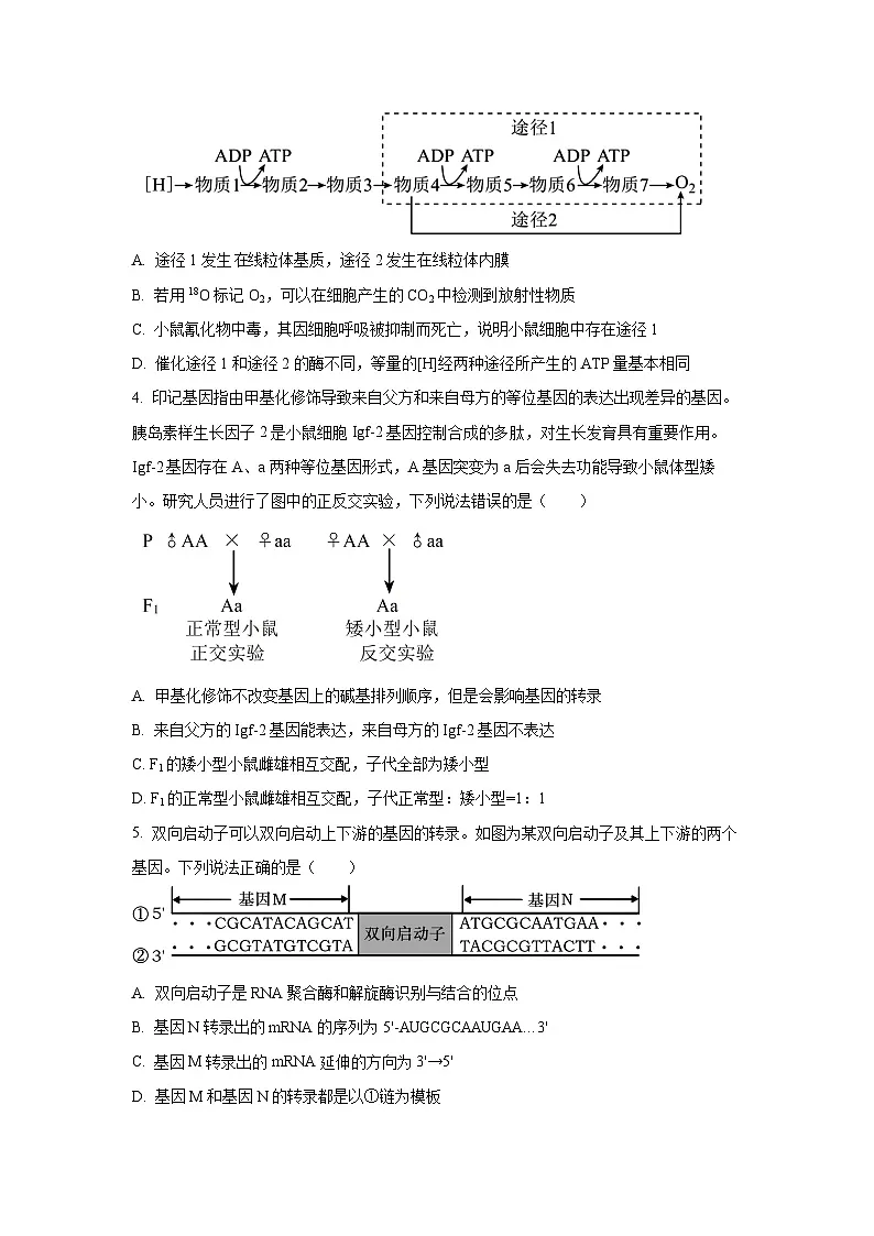 陕西省西安市新城区2026届中考一模生物试卷（学生版）第2页