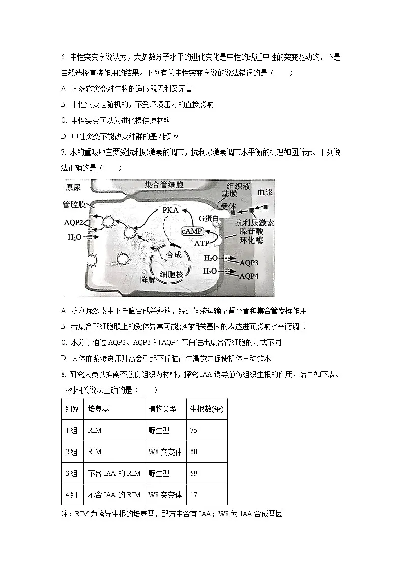 陕西省西安市新城区2026届中考一模生物试卷（学生版）第3页