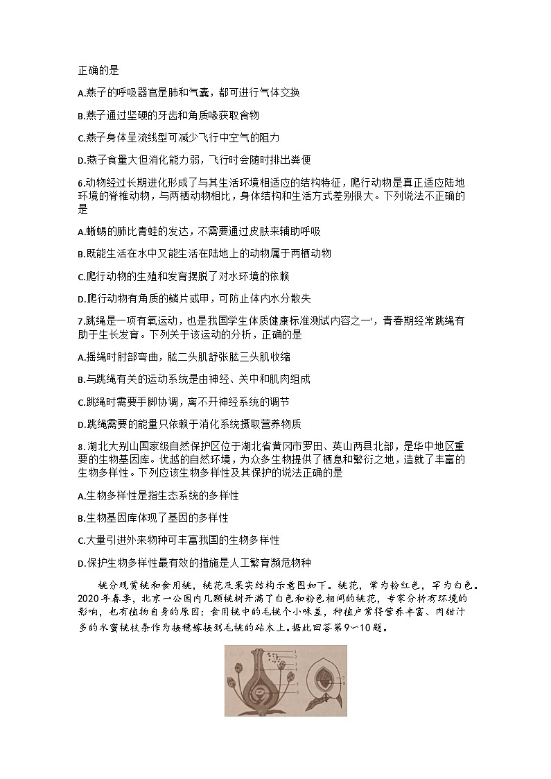 试题第2页