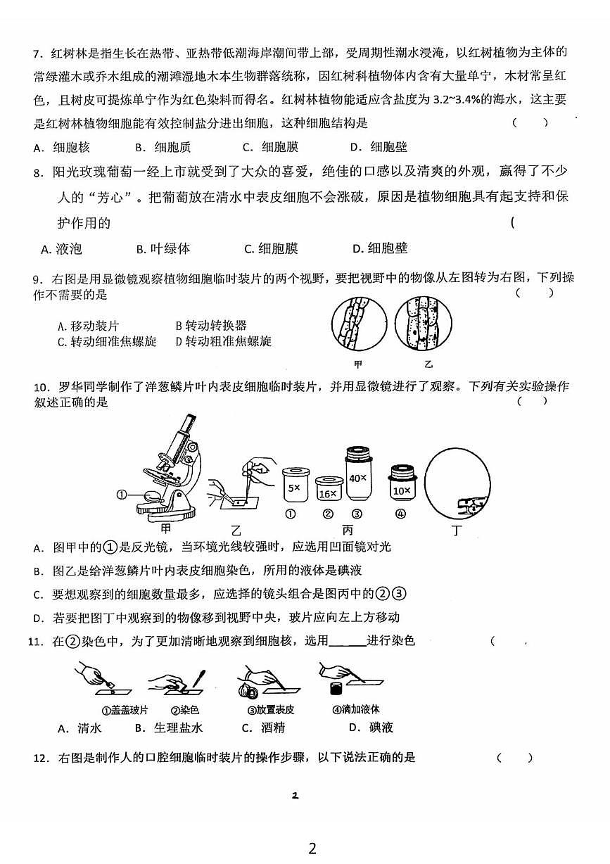 河北省石家庄市正定县第六中学2025-2026学年七年级上学期9月月考生物试卷第2页