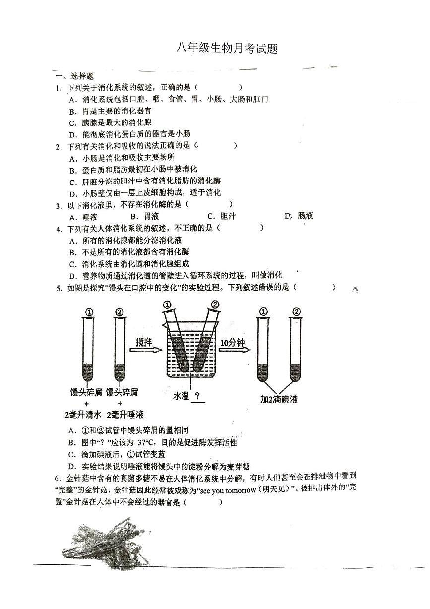 江苏省徐州市沛县第三中学联盟学区2025-2026学年八年级上学期9月份月考生物试题第1页