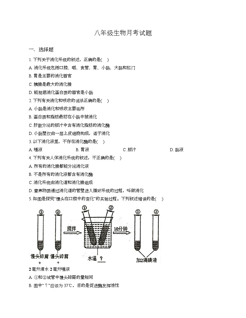 江苏省徐州市沛县第三中学联盟学区2025-2026学年八年级上学期9月份月考生物试题、答案及解析 江苏省徐州市沛县第三中学联盟学区2025-2026学年八年级上学期9月份月考生物试题第1页
