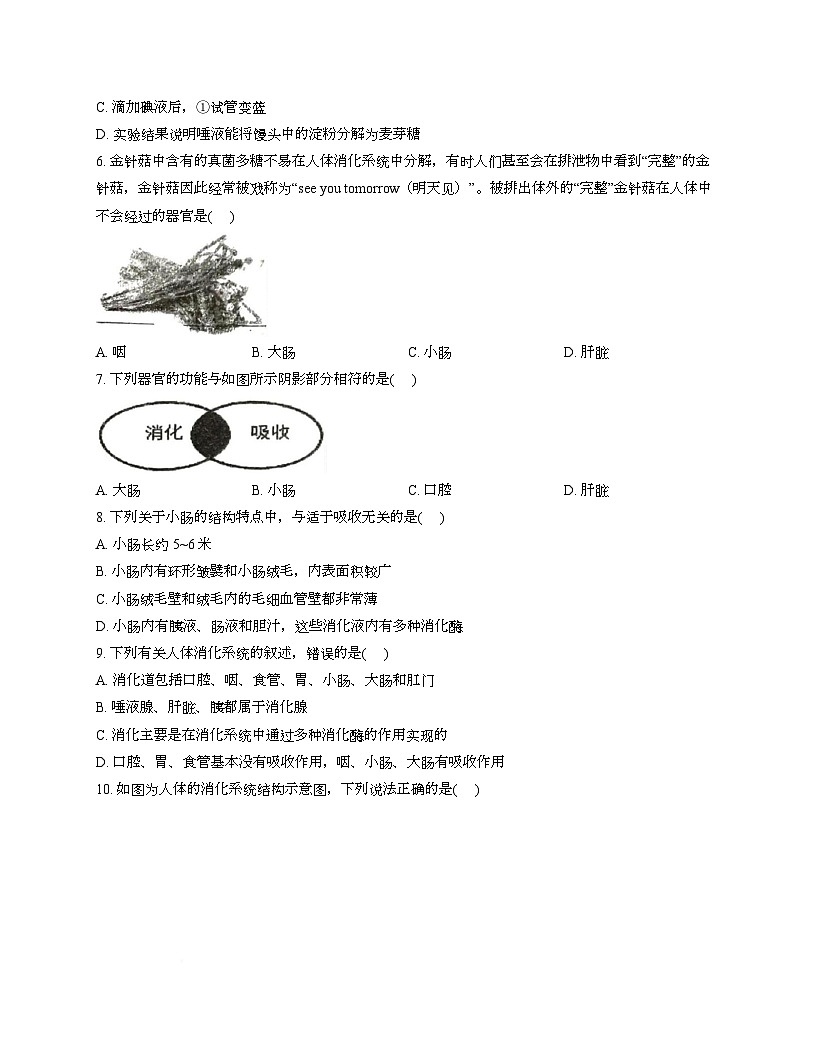 江苏省徐州市沛县第三中学联盟学区2025-2026学年八年级上学期9月份月考生物试题、答案及解析 江苏省徐州市沛县第三中学联盟学区2025-2026学年八年级上学期9月份月考生物试题第2页