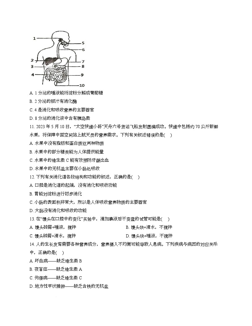 江苏省徐州市沛县第三中学联盟学区2025-2026学年八年级上学期9月份月考生物试题、答案及解析 江苏省徐州市沛县第三中学联盟学区2025-2026学年八年级上学期9月份月考生物试题第3页