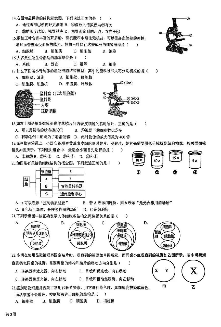 山东省青岛市胶州市瑞华实验初级中学2025-2026学年七年级上学期10月月考生物试题第2页