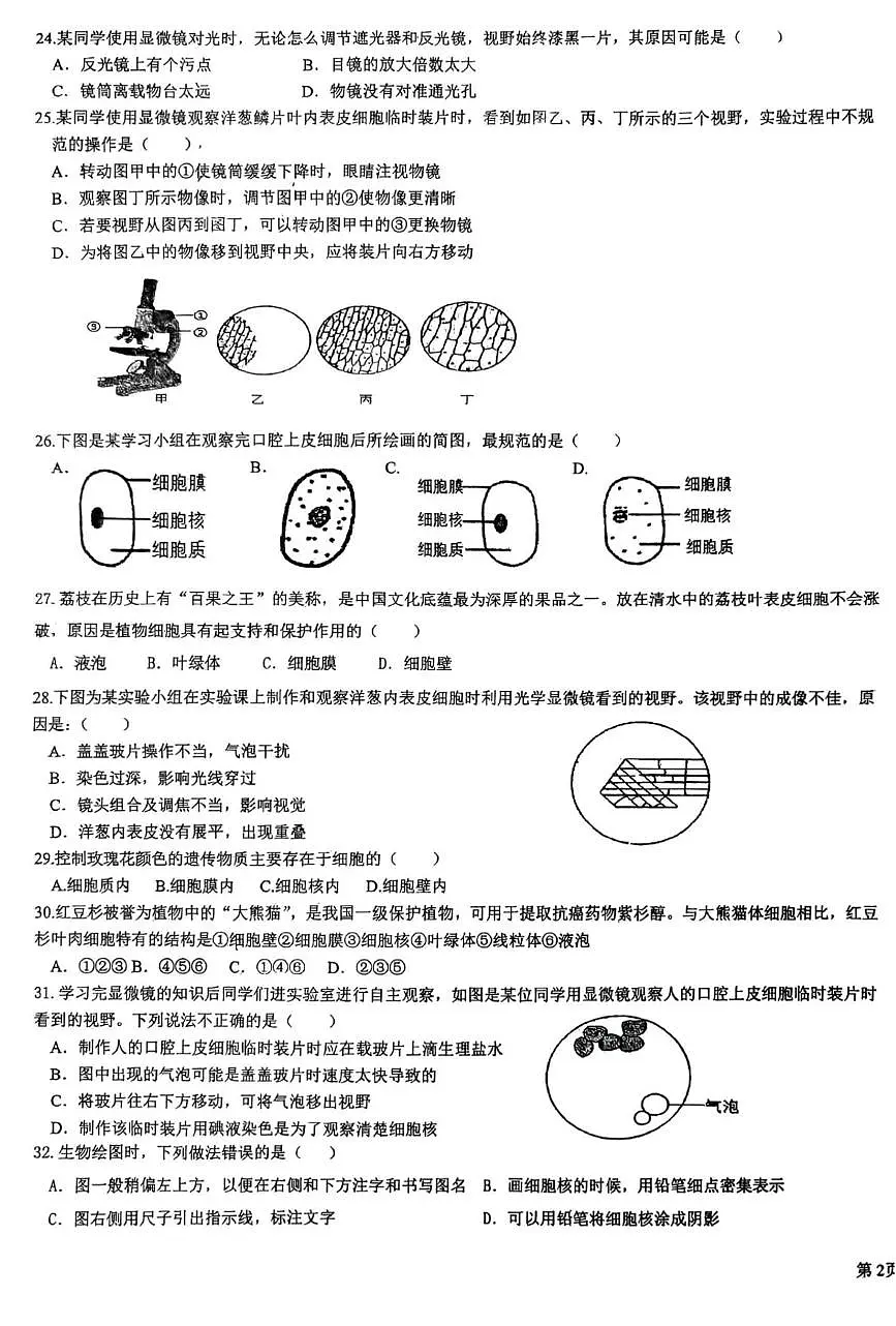 山东省青岛市胶州市瑞华实验初级中学2025-2026学年七年级上学期10月月考生物试题第3页