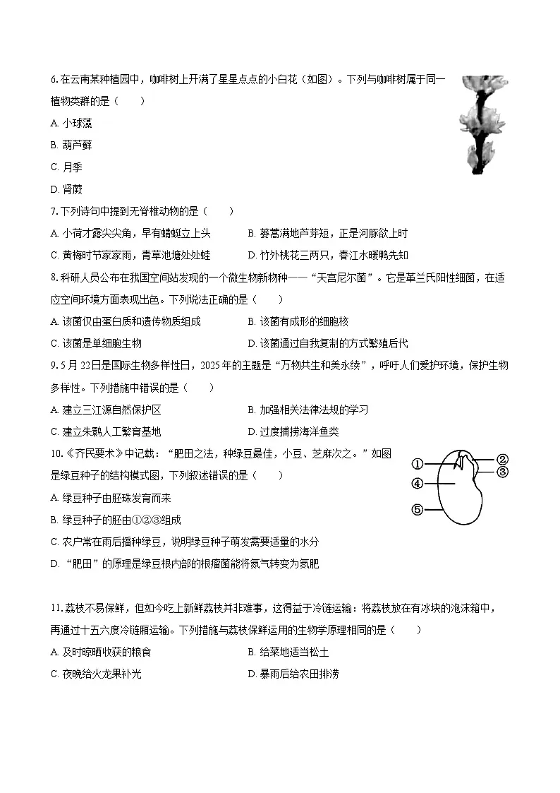 2025年四川省广安市中考生物试卷（含详细答案解析）第2页