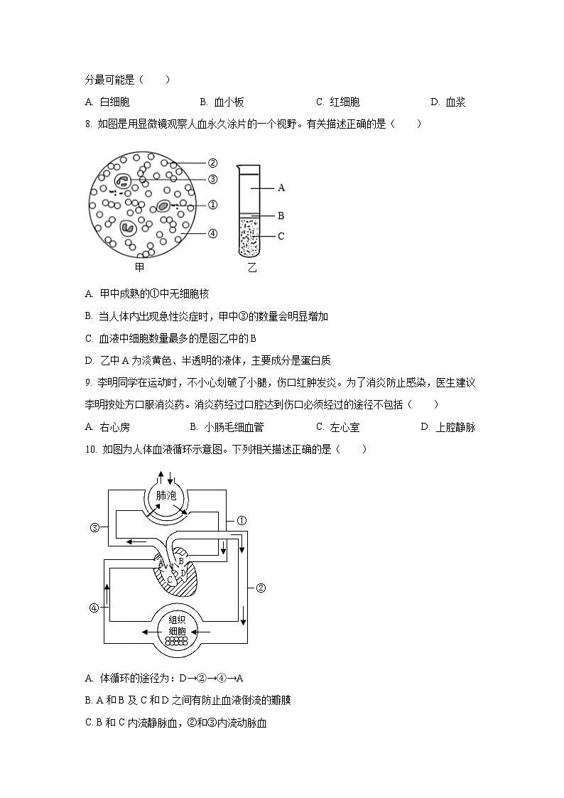 辽宁省鞍山市海城市2025-2026学年八年级上学期9月月考生物试卷（学生版）第2页