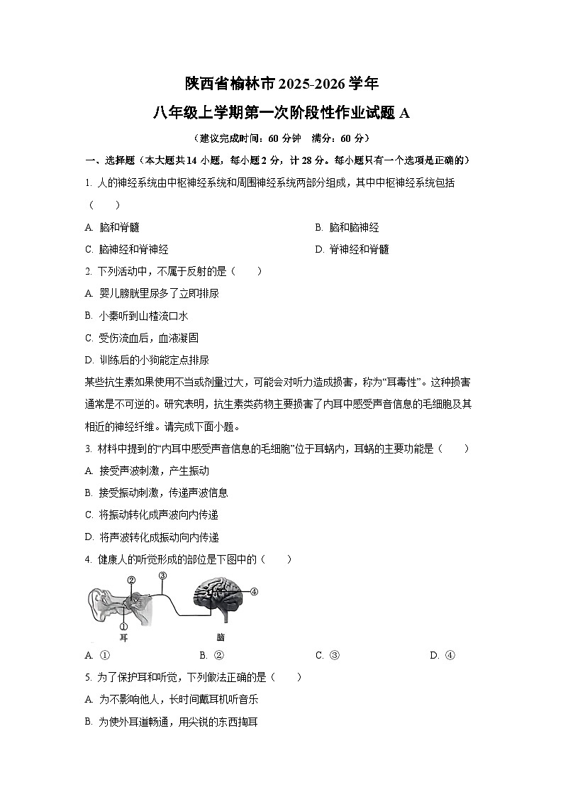 陕西省榆林市2025-2026学年八年级上学期第一次阶段性作业A生物试卷（学生版）第1页