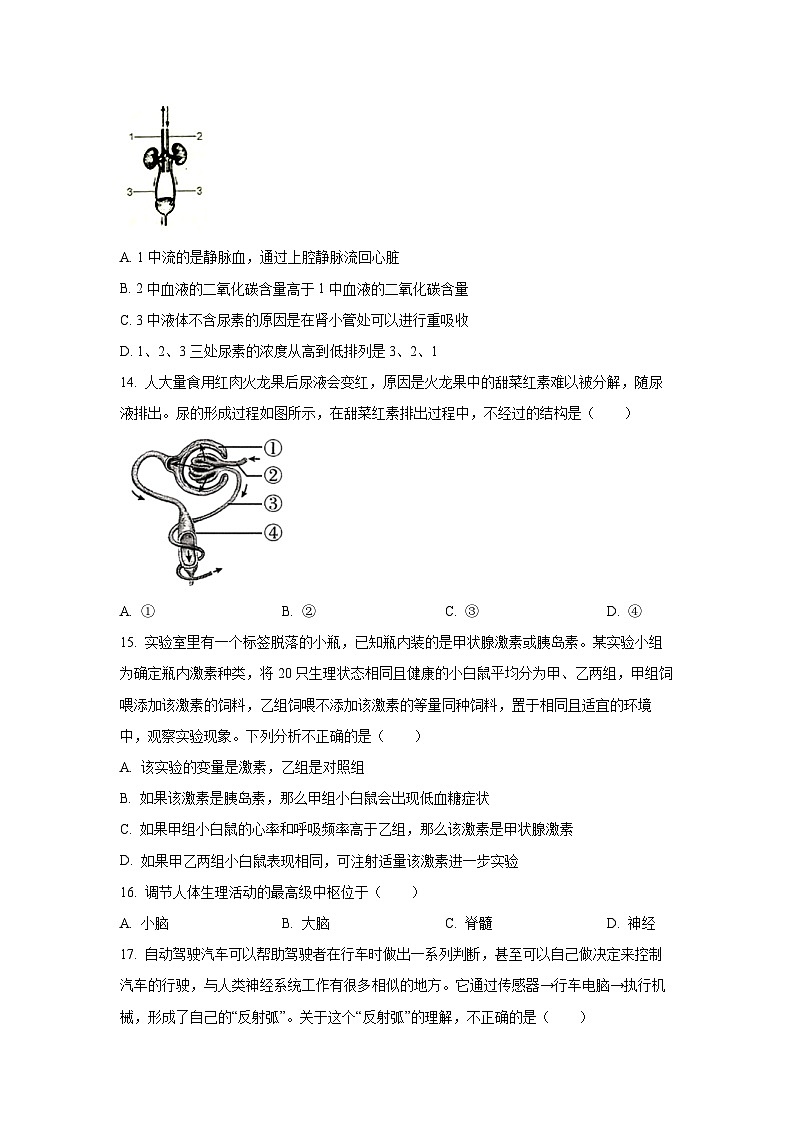 安徽省安庆市太湖县五校联考2025-2026学年八年级上学期开学生物试卷（学生版）第3页
