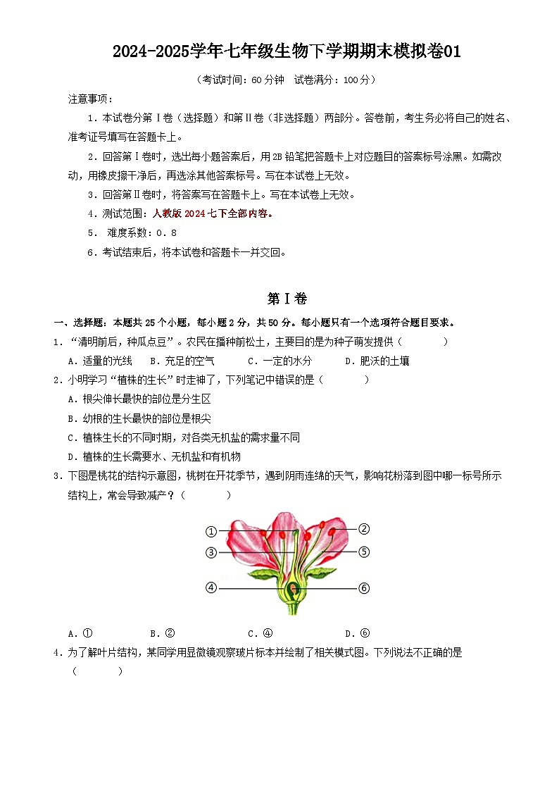 七年级生物期末模拟卷01【测试范围：人教版2024下册全部内容】（考试版）-A4第1页