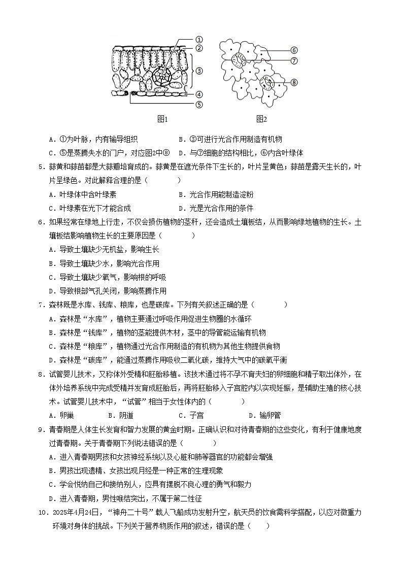 七年级生物期末模拟卷01【测试范围：人教版2024下册全部内容】（考试版）-A4第2页