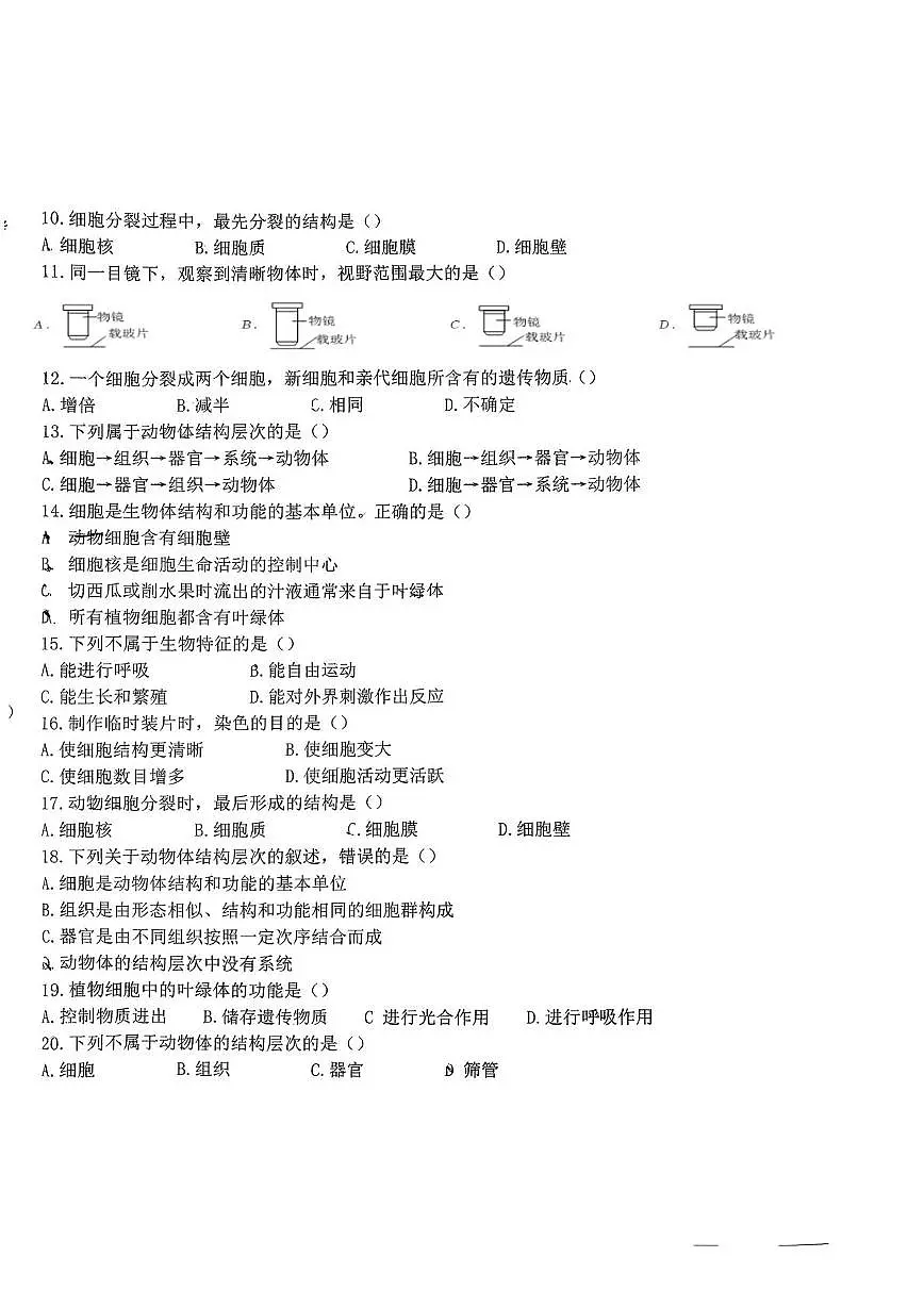 吉林省长春市外国语学校2025-2026学年七年级上学期第一次月考生物试卷第2页