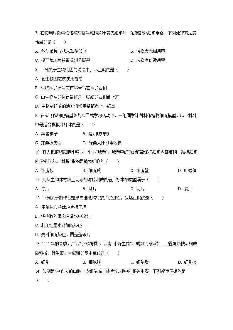吉林省四平市2025-2026学年七年级上学期第一次月考生物试卷（学生版）第2页
