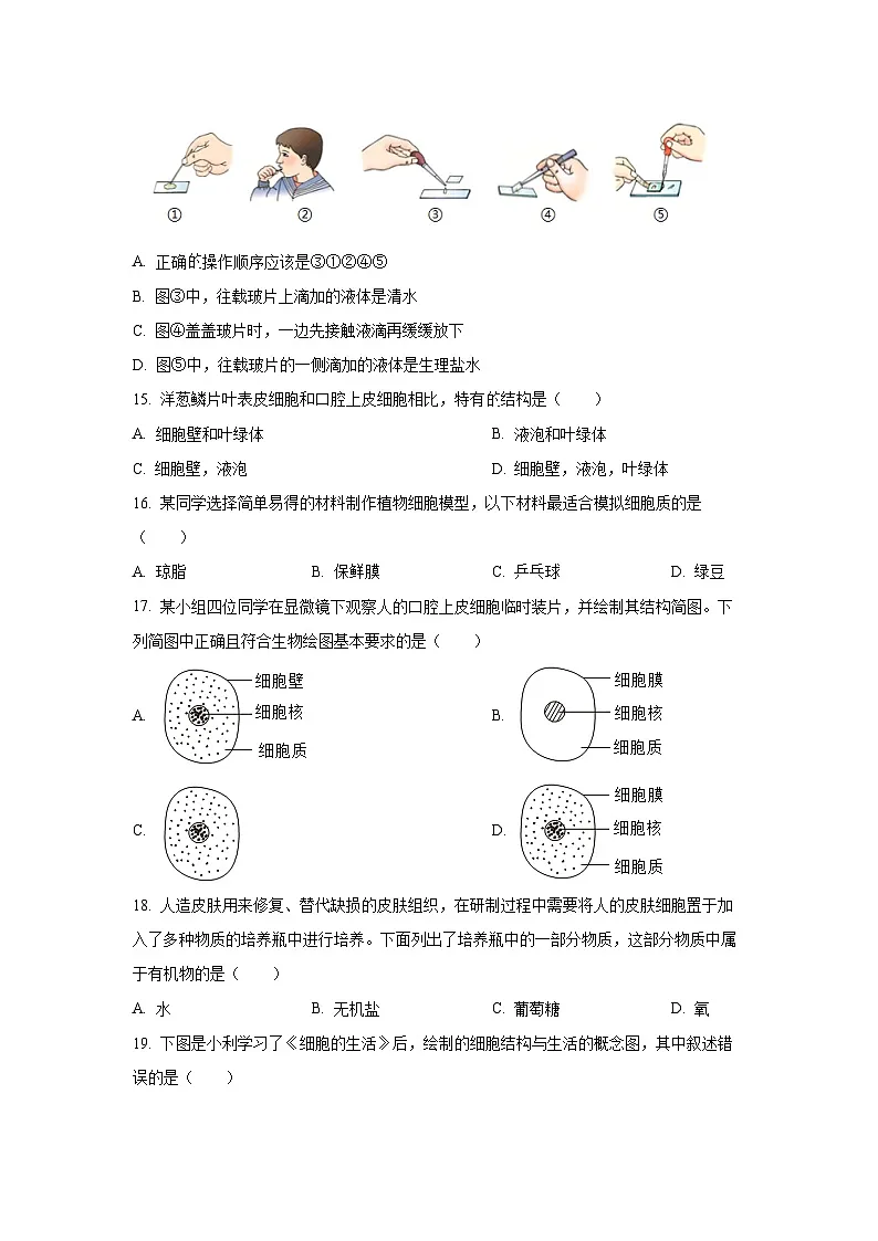 吉林省四平市2025-2026学年七年级上学期第一次月考生物试卷（学生版）第3页