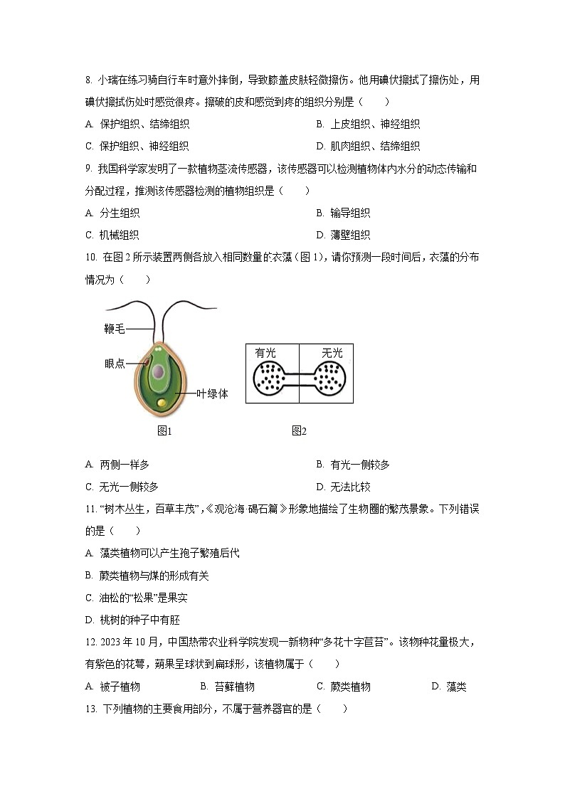 江西省抚州市东乡区2024-2025学年七年级上学期期末生物试卷（学生版）第2页