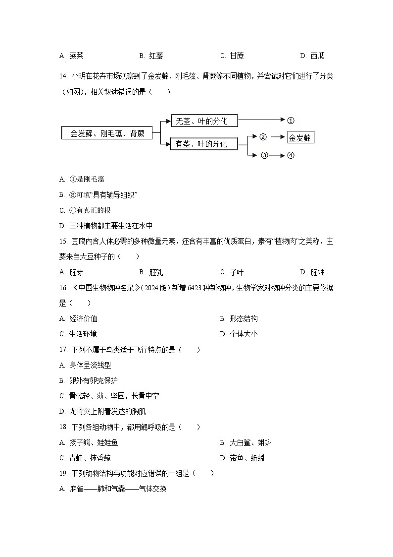 江西省抚州市东乡区2024-2025学年七年级上学期期末生物试卷（学生版）第3页