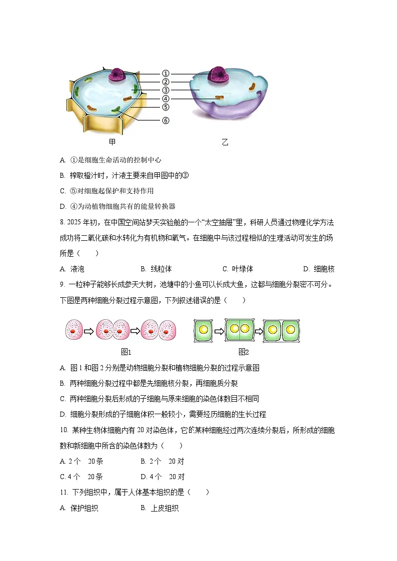 河北省衡水市安平县实验初级中学2025-2026学年七年级上学期开学测试生物试卷（学生版）第2页