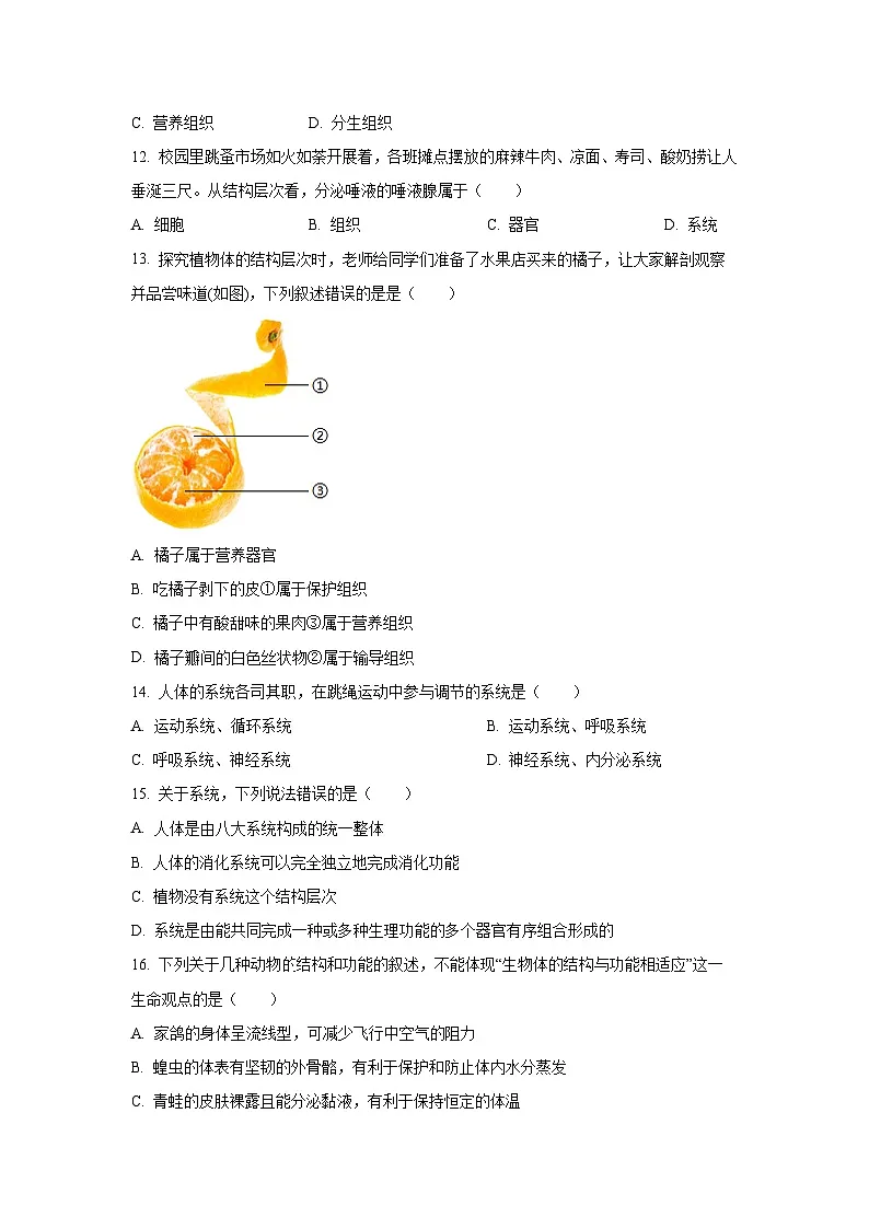 河北省衡水市安平县实验初级中学2025-2026学年七年级上学期开学测试生物试卷（学生版）第3页