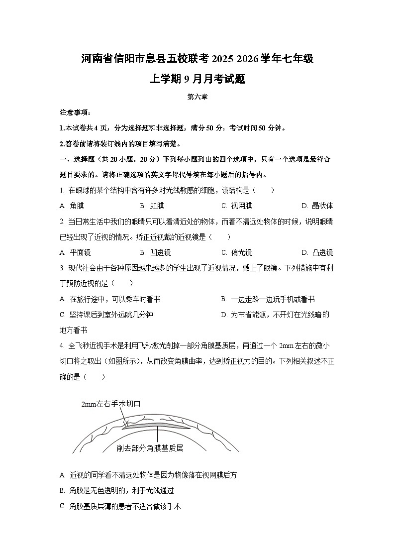 河南省信阳市息县五校联考2025-2026学年七年级上学期9月月考生物试卷（学生版）第1页