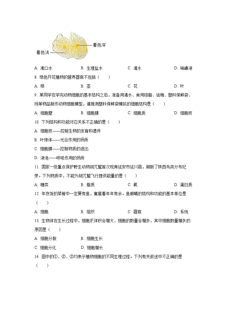 新疆和田地区皮山县2024-2025学年七年级上学期11月月考（B卷）生物试卷（学生版）第2页