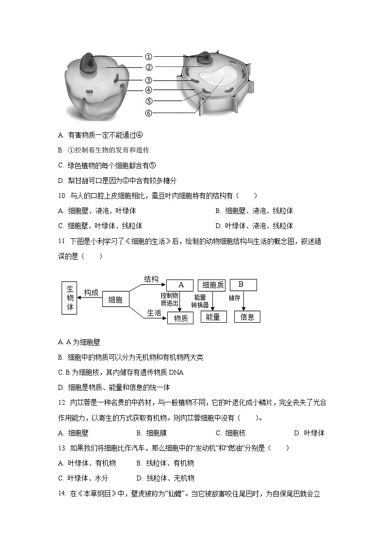 新疆维吾尔自治区克拉玛依市2024-2025学年七年级上学期期末生物试卷（学生版）第3页