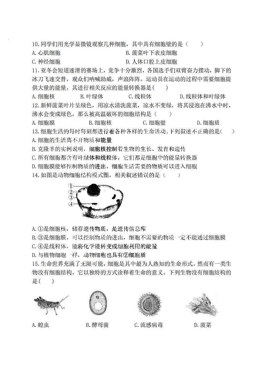 2025年哈尔滨市虹桥中学七年级（上）10月考生物试卷和答案第2页