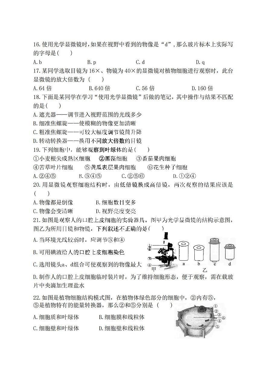 2025年哈尔滨市虹桥中学七年级（上）10月考生物试卷和答案第3页