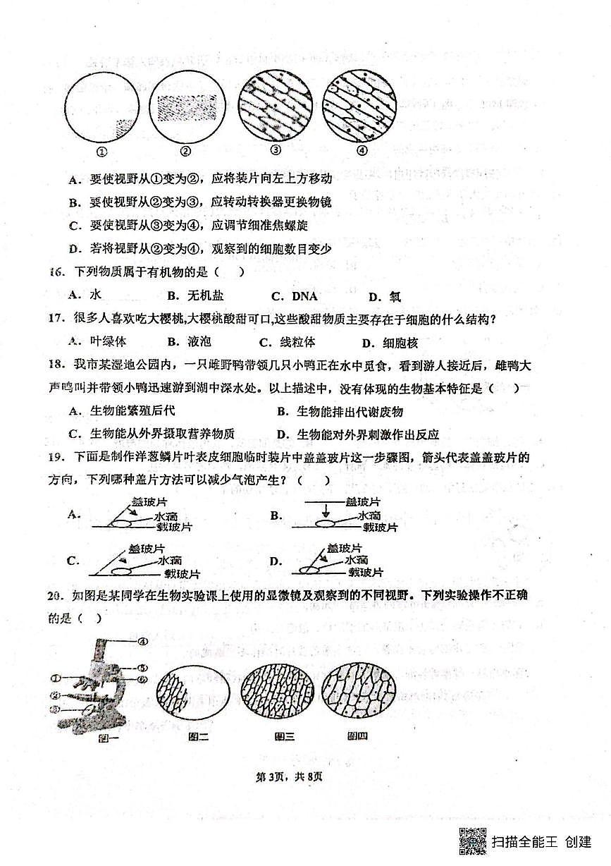 山东省聊城市阳谷县实验中学2025-2026学年七年级上学期10月月考生物试题第3页