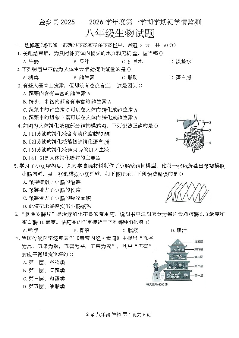 山东省济宁市金乡县2025-2026学年八年级上学期10月月考生物试题含答案 山东省济宁市金乡县2025-2026学年八年级上学期10月月考生物文字版试题第1页