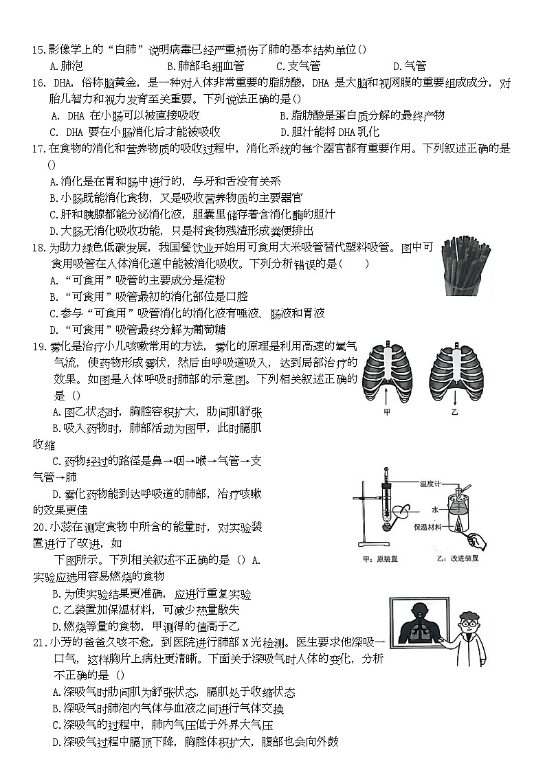 山东省济宁市金乡县2025-2026学年八年级上学期10月月考生物试题含答案 山东省济宁市金乡县2025-2026学年八年级上学期10月月考生物文字版试题第3页