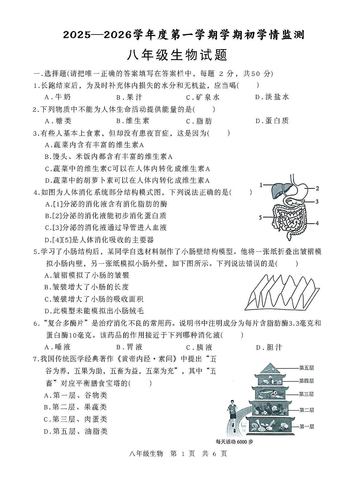 山东省济宁市金乡县2025-2026学年八年级上学期10月月考生物试题含答案 山东省济宁市金乡县2025-2026学年八年级上学期10月月考生物试题第1页