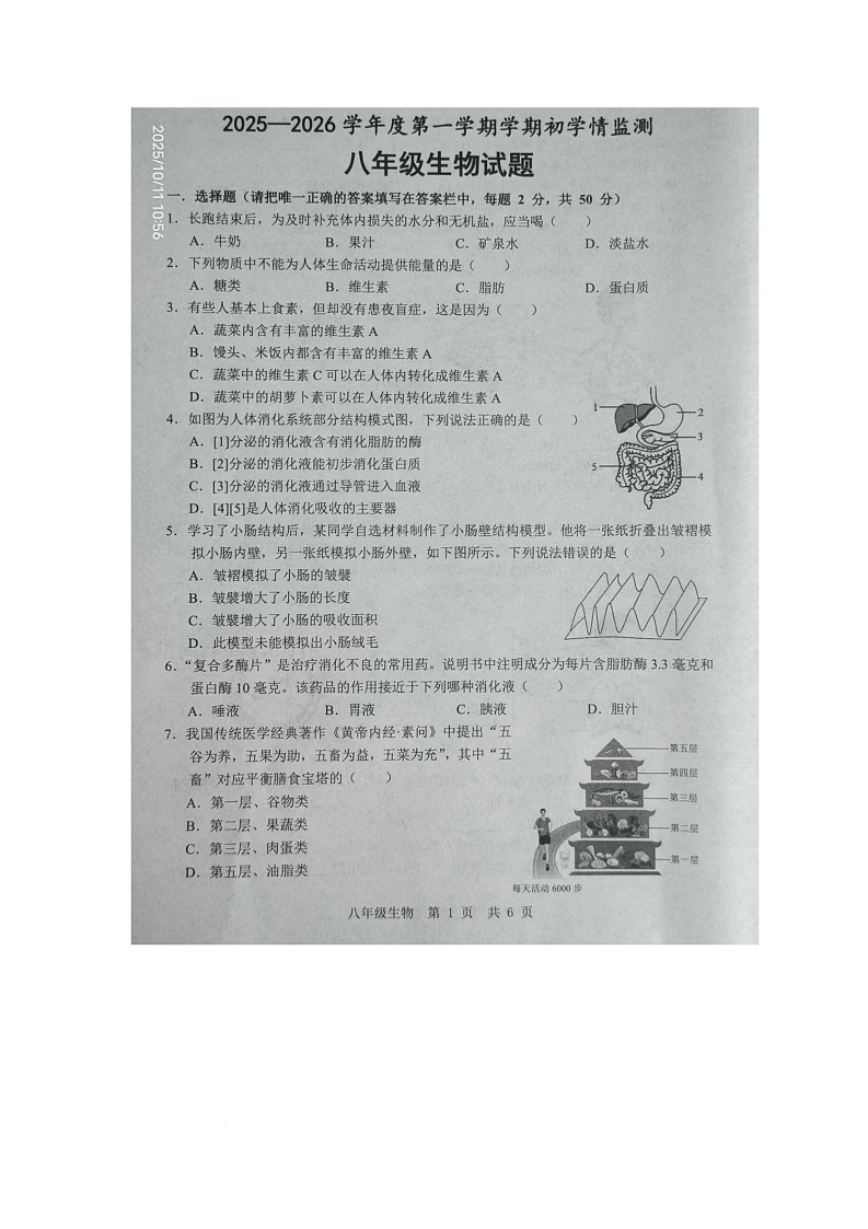 山东省金乡县2025-2026学年八年级上学期10月月考生物试卷第1页