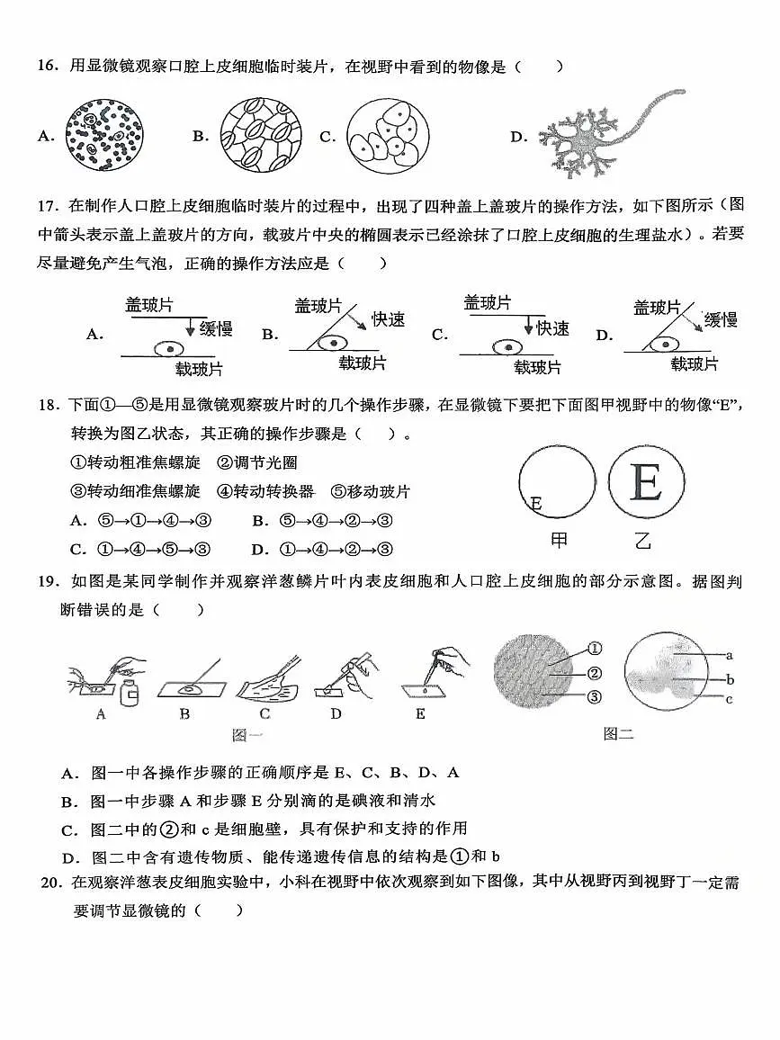 枣庄尚贤中学2025-2026学年七年级上学期第一次月考生物试题 枣庄尚贤中学2025-2026学年七年级上学期第一次月考生物试题第3页