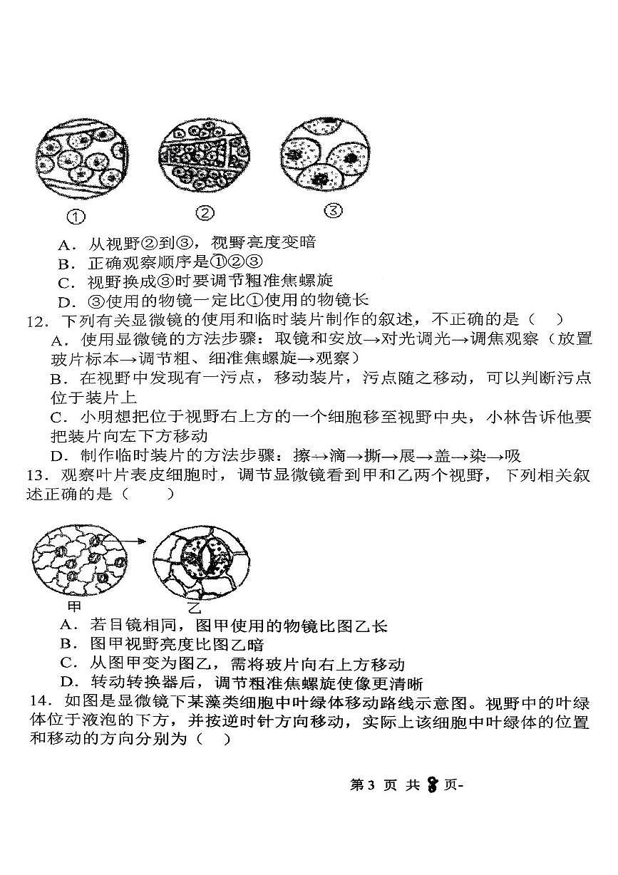 山东省青岛市城阳区第十七中学2025-2026学年七年级上学期10月月考生物试题第3页