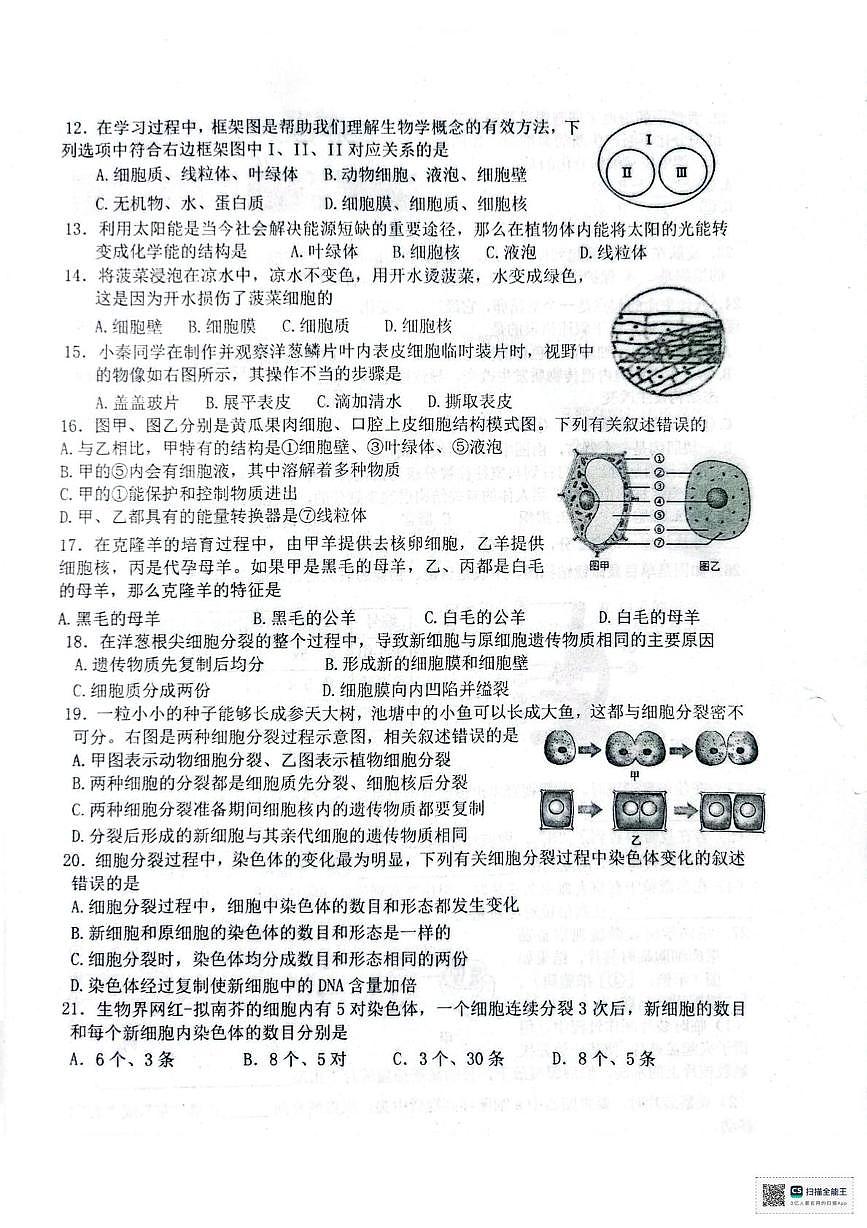 山东省临沂市临沭县第二初级中学联盟体2025-2026学年七年级上学期10月份月考生物试题第2页