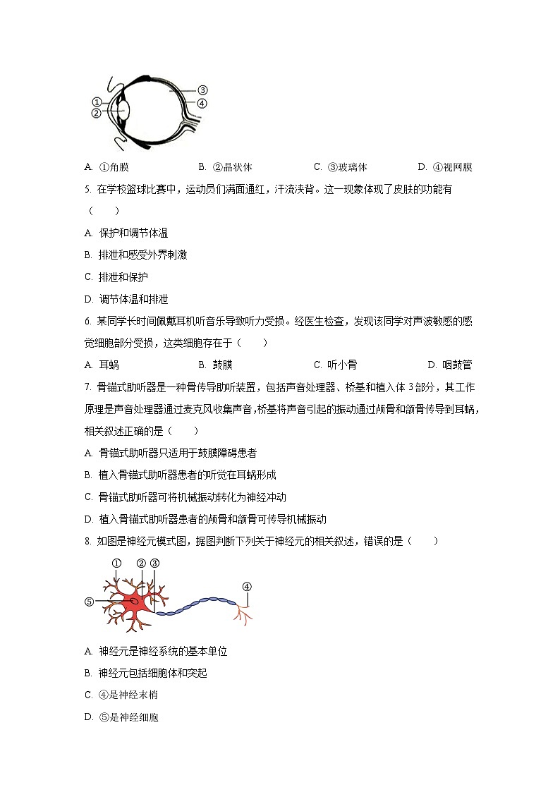 四川省绵阳市安州区2025-2026学年八年级上学期9月月考生物试卷（学生版）第2页