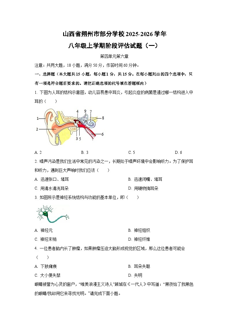 山西省朔州市部分学校2025-2026学年八年级上学期阶段评估（一）生物试卷（学生版）第1页