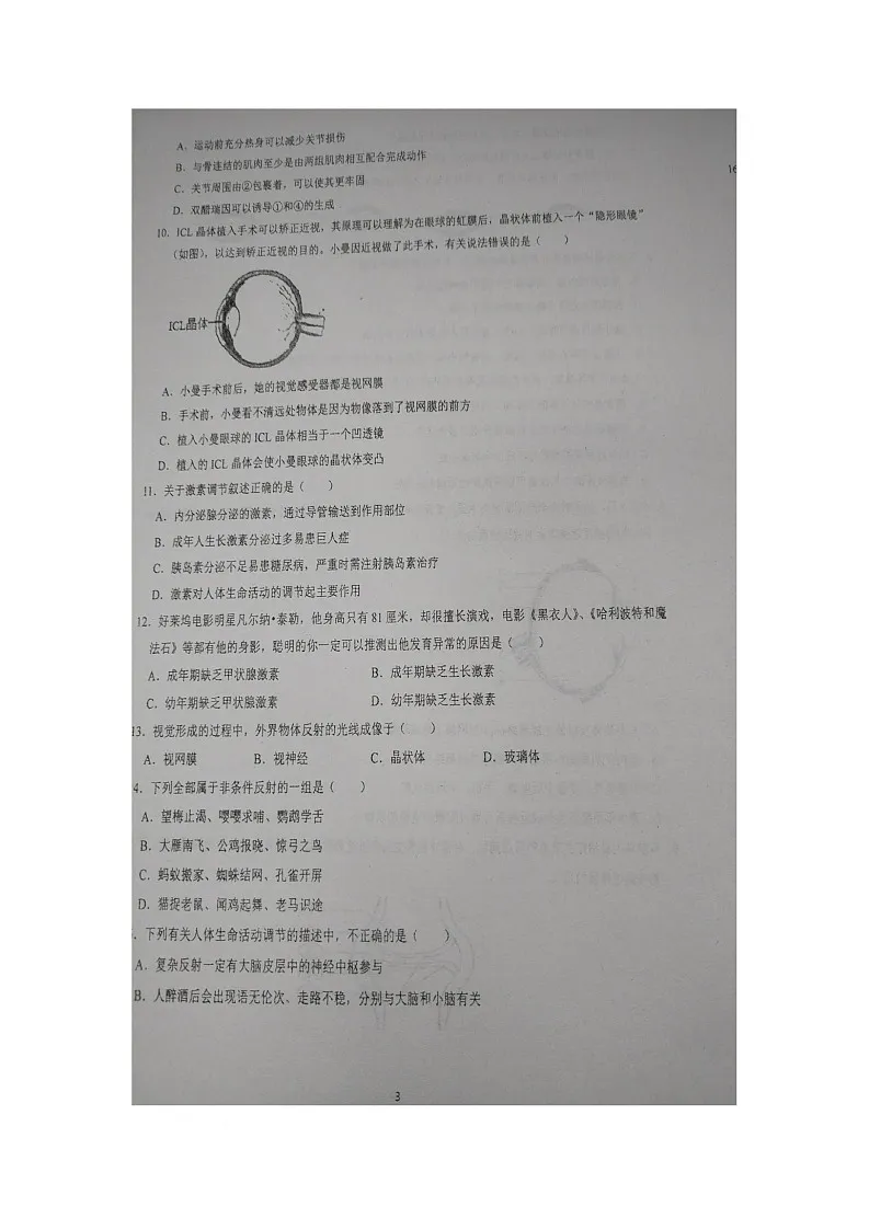 山东省青岛市胶州市洋河中学2025-2026学年八年级上学期10月月考生物试题第3页