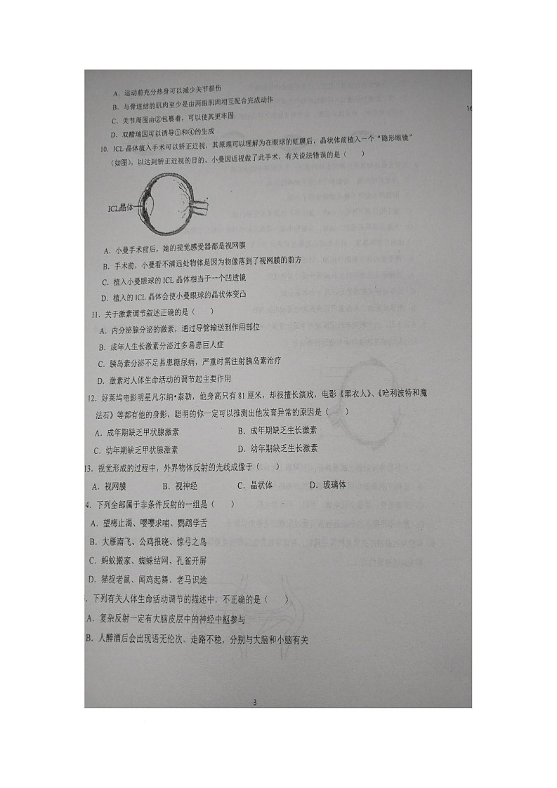 山东省青岛市胶州市洋河中学2025-2026学年八年级上学期10月月考生物试题第3页