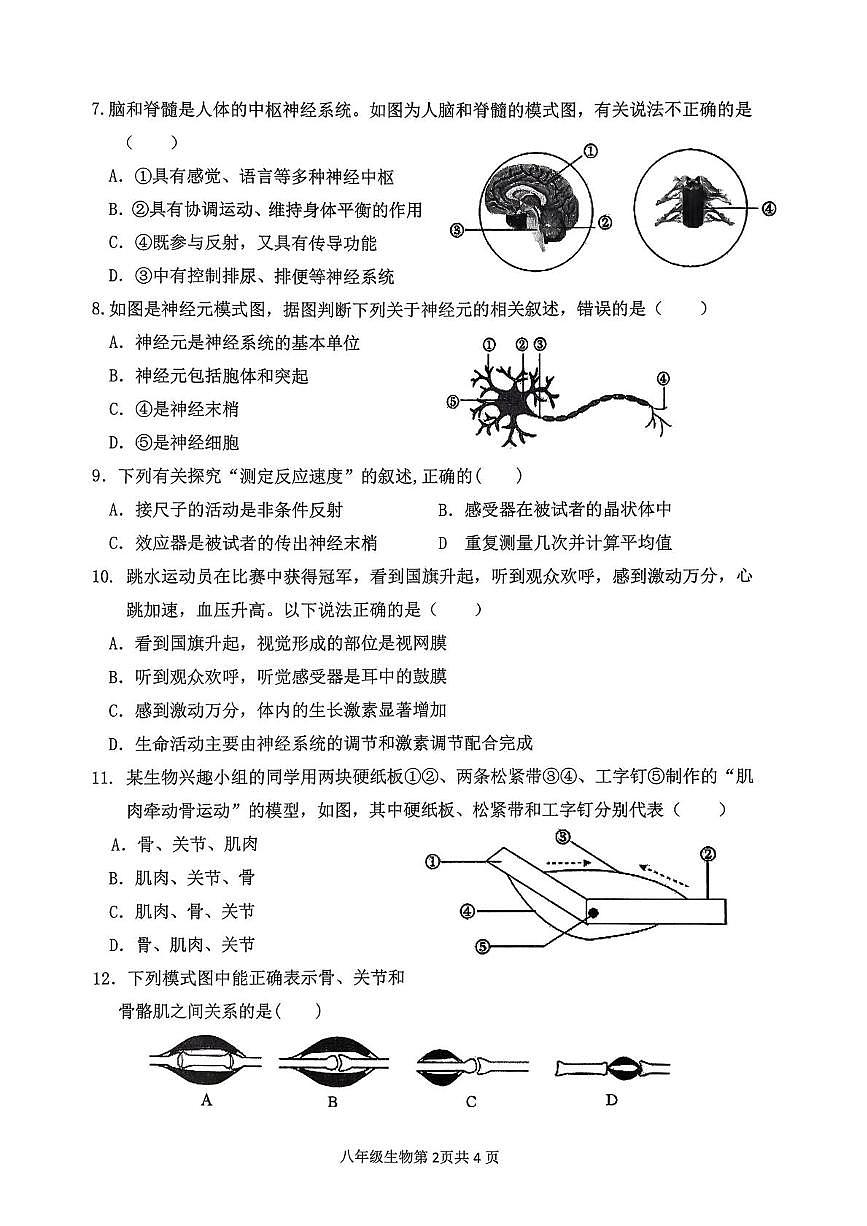 山东省临沂市第十中学2025--2026学年八年级上学期10月月考生物试卷、答案及解析 山东省临沂市第十中学2025--2026学年八年级上学期10月月考生物试卷第2页