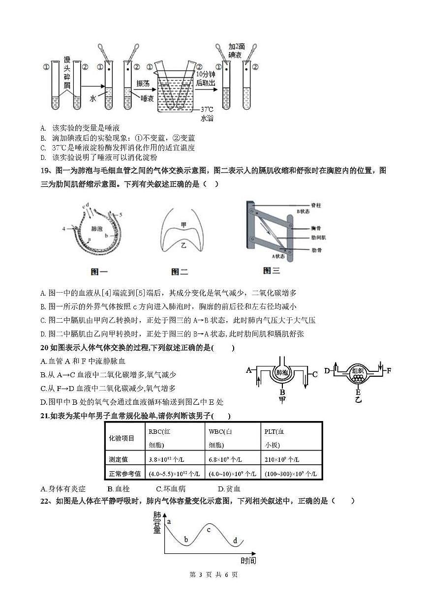 山东省德州市平原县三校联考2025-2026学年八年级上学期10月月考生物试题第3页