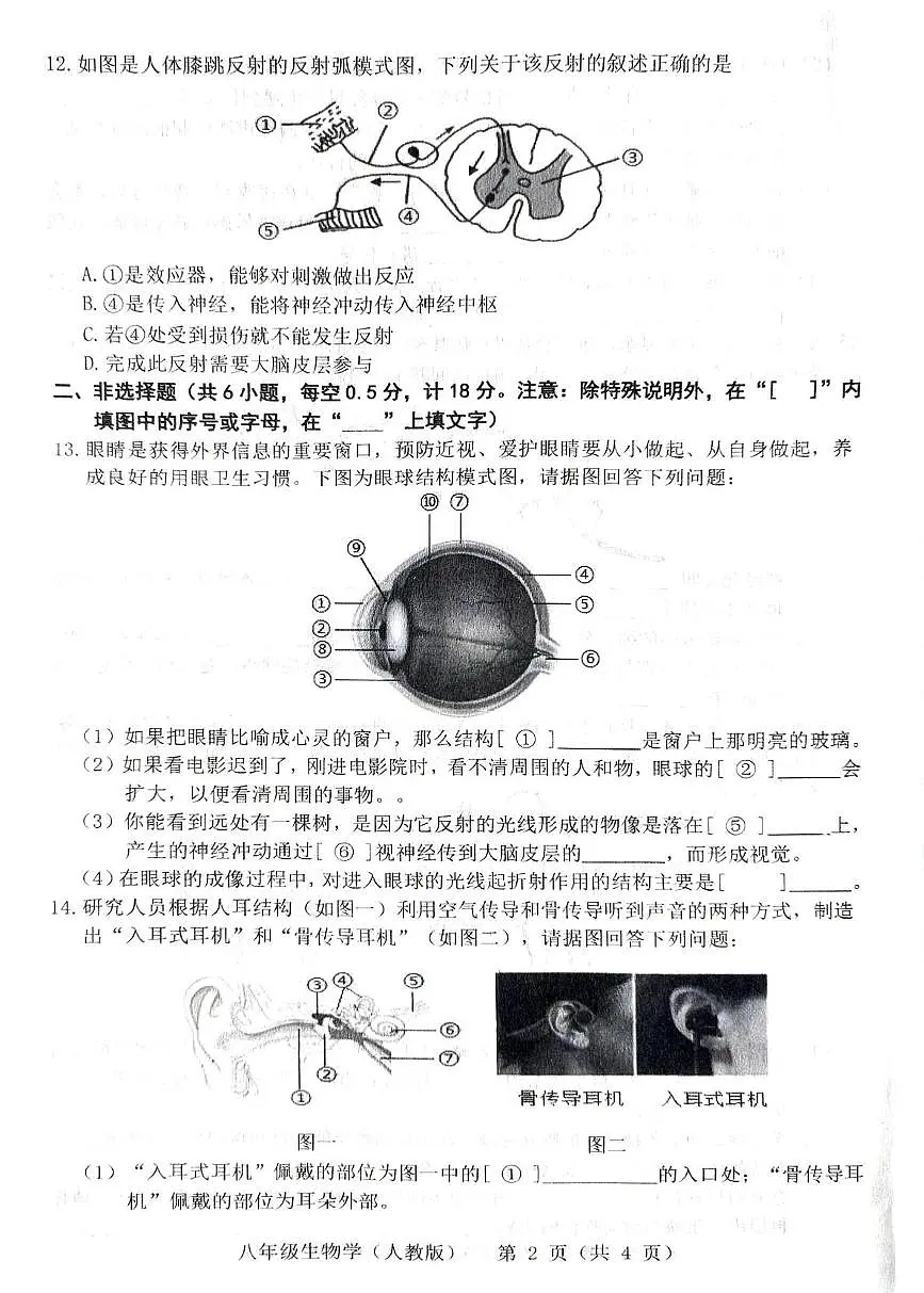 辽宁省葫芦岛市连25-26学年度第一学期八年级第一次月考生物试卷及答案 25-26学年度辽宁省葫芦岛市上学期第一次月考生物试题第2页